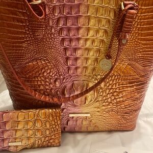 Brahmin 2 piece set in Glam Ombre- perfect bag for Thanksgiving